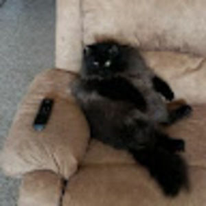 Meet your Posher, Eaden